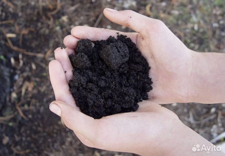 Земля для огорода, теплиц, газона