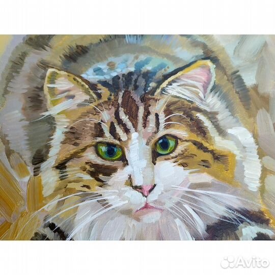 Картина Кот Джоня 30 на 40 см холст маслом