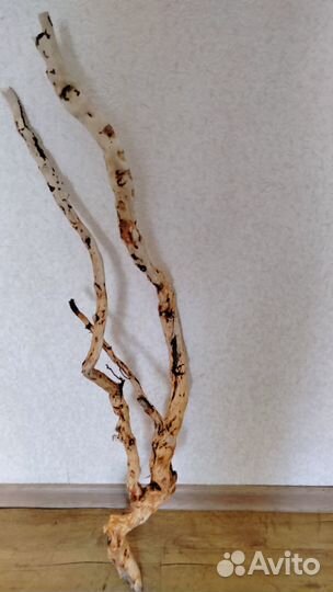 Коряги для аквариума