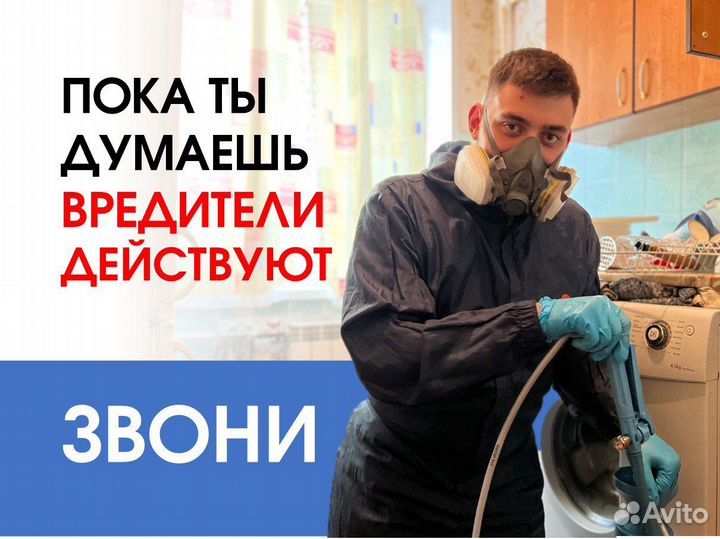 Уничтожение насекомых