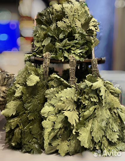 Дубовые веники для бани