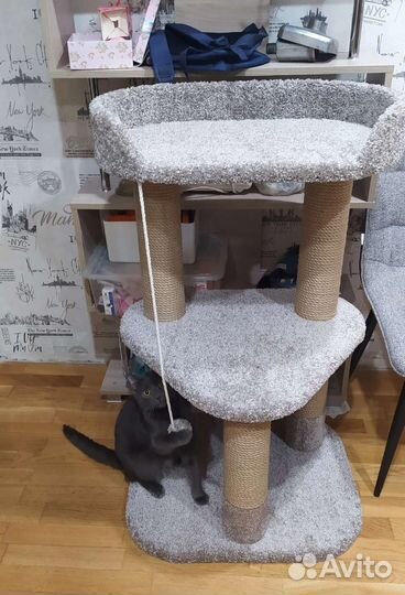 Игровые комплексы и когтеточки для кошек