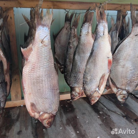 Рыба язь вяленный