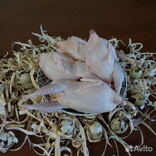 Яйца перепелиные домашние