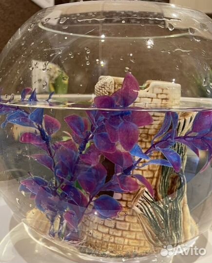 Аквариум круглый для рыб с домиком 5 л