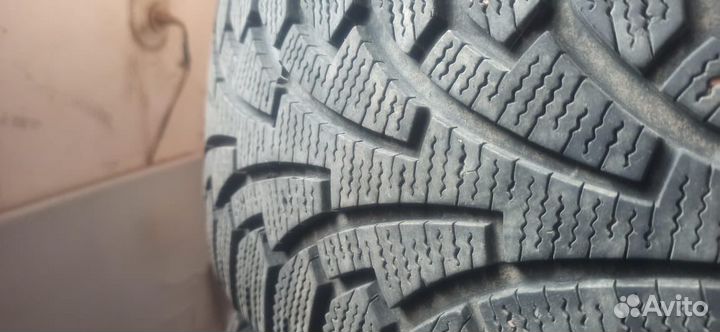 Nordman WR 205/55 R16