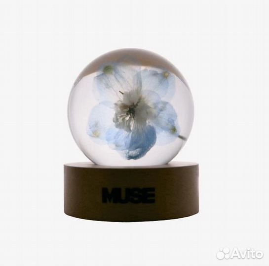 Шар Muse Чимин