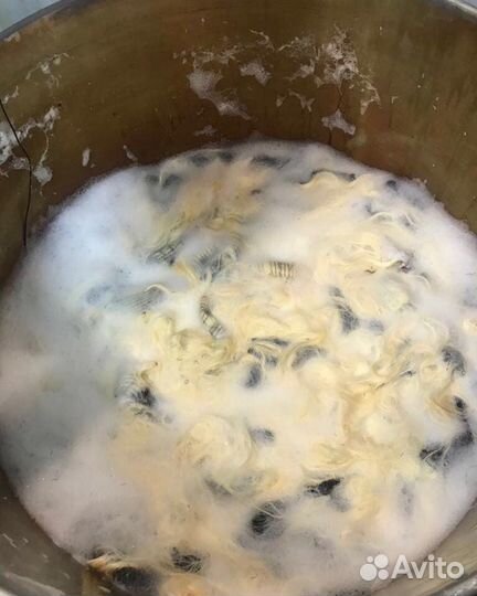 Промышленное окрашивание волос