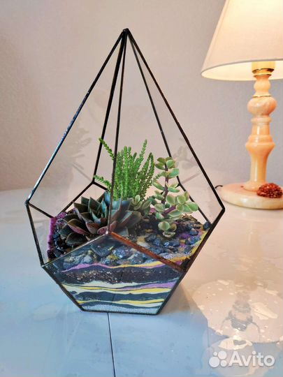 Флорариум с суккулентами