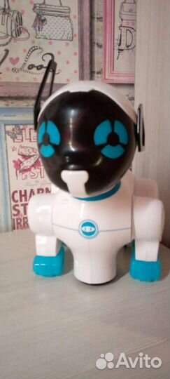 Собака робот