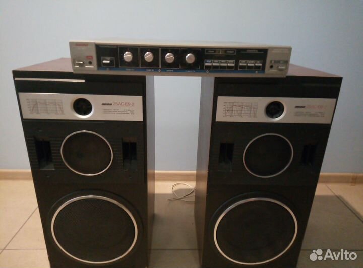 Колонки Вега стерео 25ас-109 2