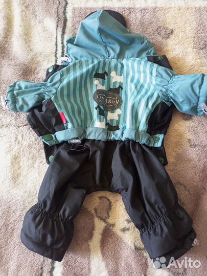 Вещи для маленькой собачки