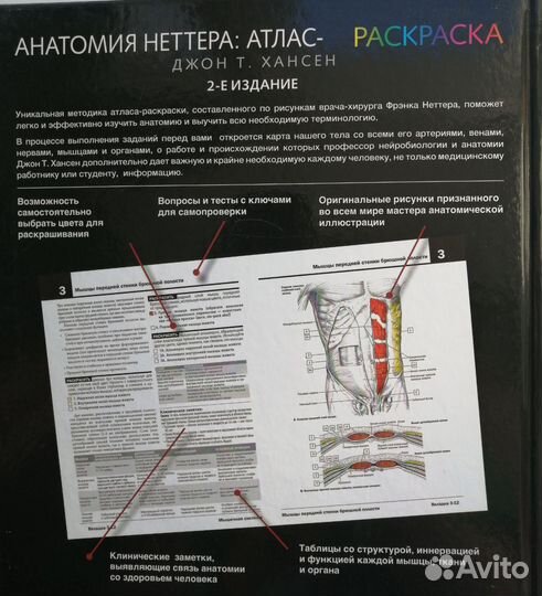 Анатомический атлас