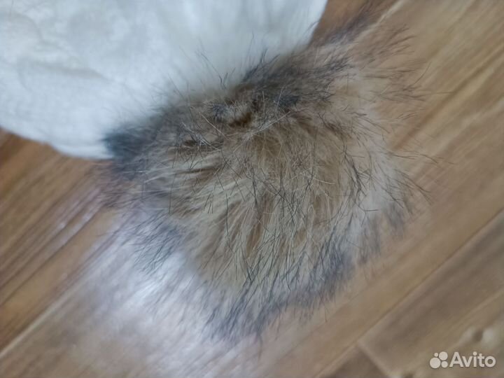 Шапка calvin klein, новая c биркой