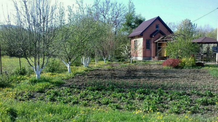 Дом 40 м² на участке 21 сот.