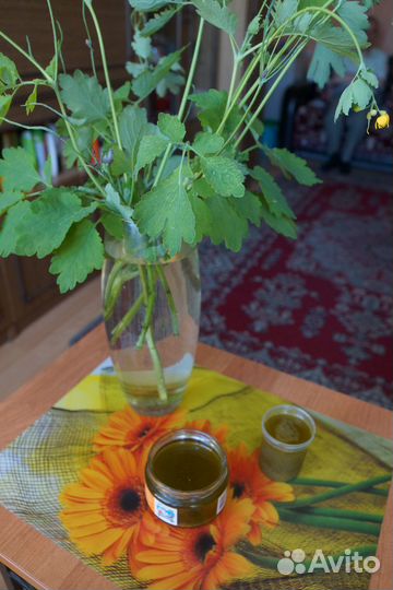 Масло - мазь Чистотела от псориаза