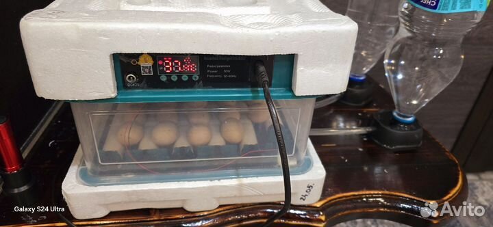 Инкубатор для яиц автоматический бу