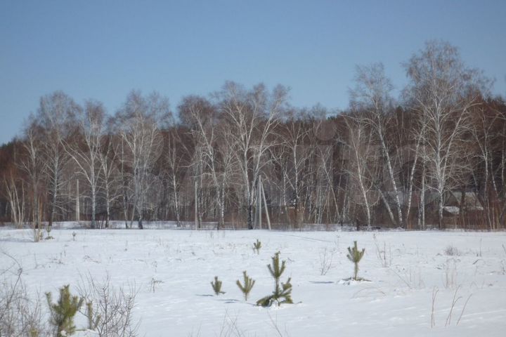 Участок 2,8 га (СНТ, ДНП)