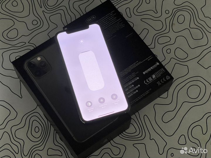 iPhone 11 Pro, 256 ГБ