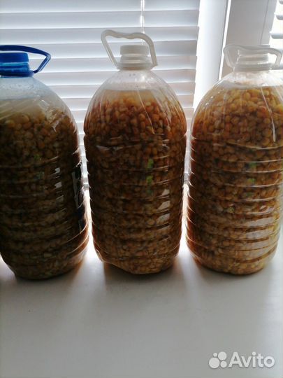 Пьяная кукуруза