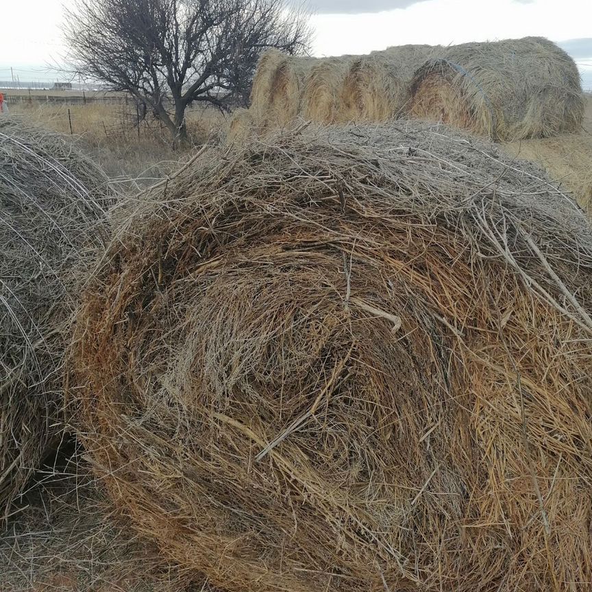 Сено в рулонах