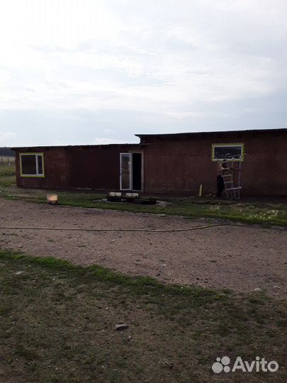 Готовый бизнес, ферма