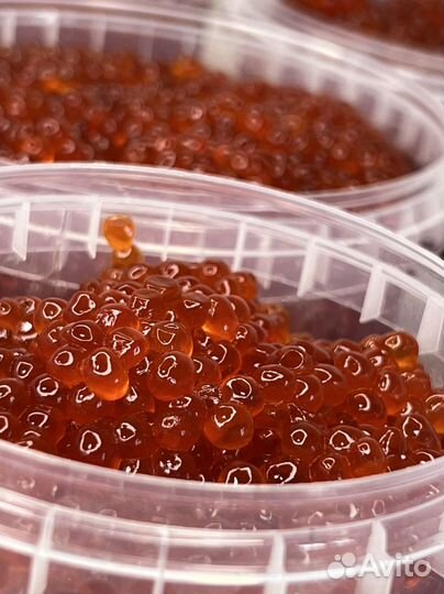 Красная икра, икра кижуча, камчатская 2022