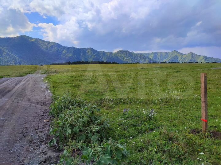 Участок 44 сот. (СНТ, ДНП)