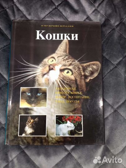 Книга про кошек
