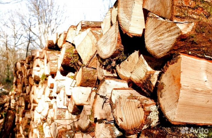 Дрова высшего качества