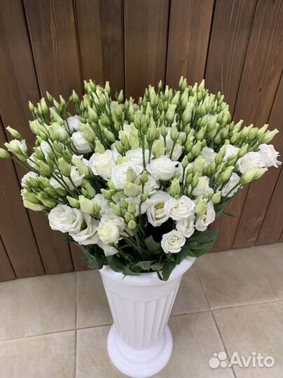 Лизиантус, эустома, букет