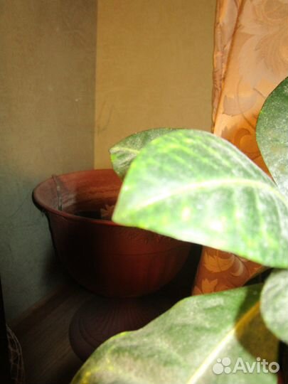 Фонтан декоративный напольный с 4 рассеивателями