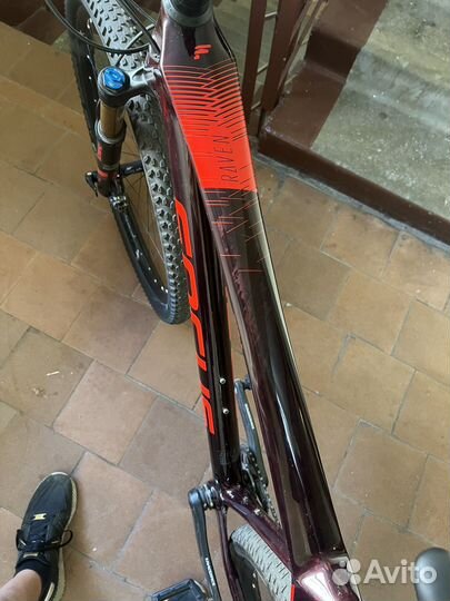 Горный велосипед Focus Raven 9.9 xtr