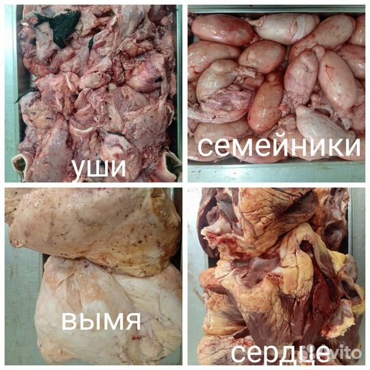 Лакомство для животных