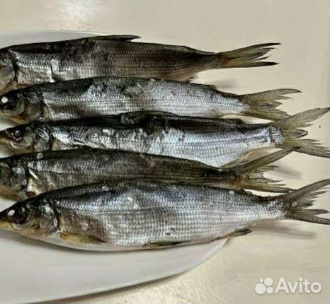 Мурманский вяленный Ерш