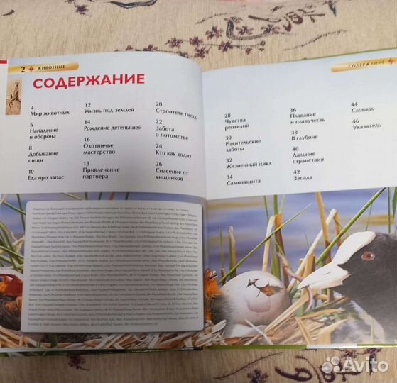 Энциклопедия о животных