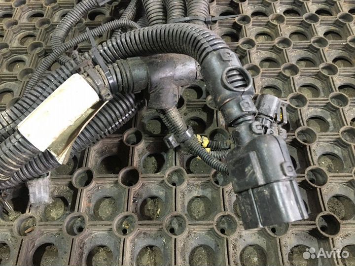 41242076 Проводка системы AdBlue Iveco Stralis