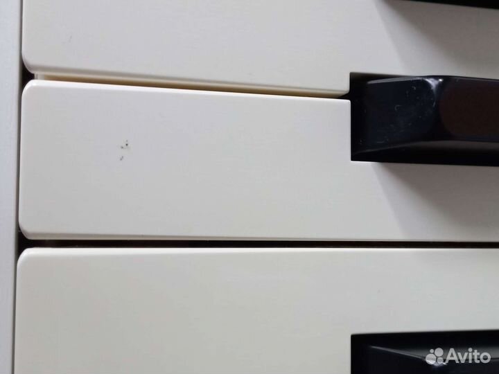 Цифровое пианино Roland F-140R