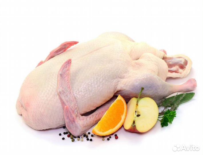 Мясо утка, курица, перепел, броль
