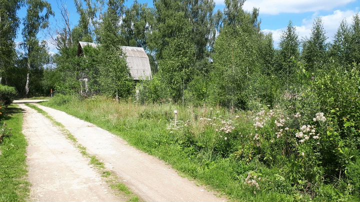 Участок 13,2 сот. (СНТ, ДНП)