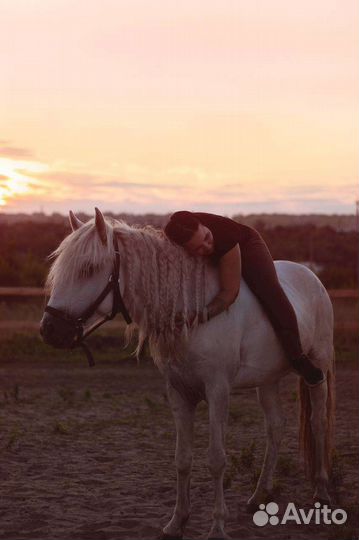 Занятия на лошадях, прогулки на лошадях