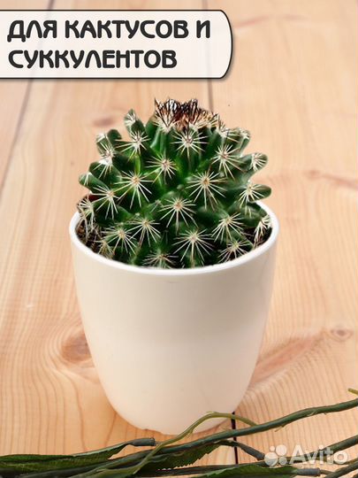 Горшок для цветов маленький. Набор кашпо маленьких