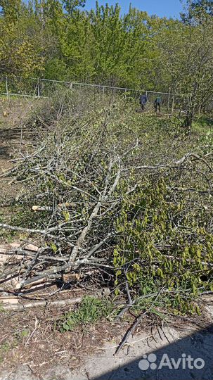 Измельчитель веток дробилка расчистка участков