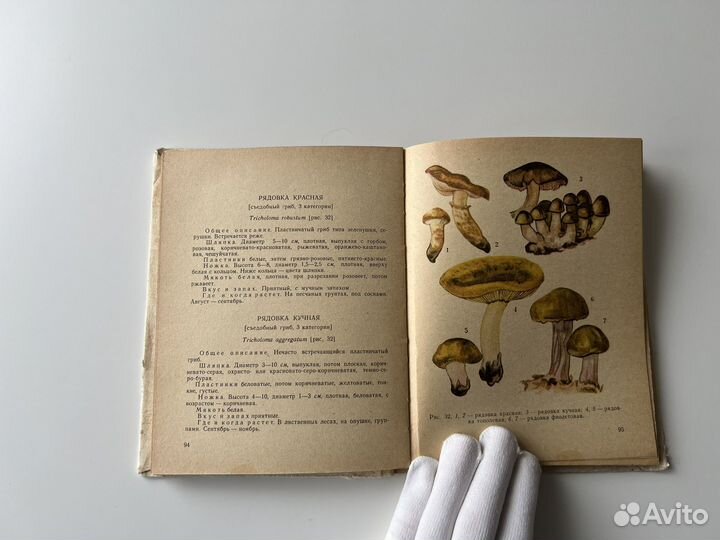 Книги о грибах