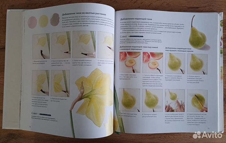 Ботанические Портреты, Билли Шоуэлл