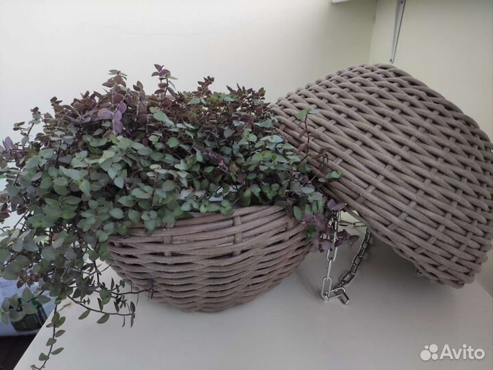 Кашпо из ротанга для цветов подвесное