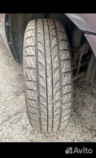 Tunga Zodiak 2 175/70 R14