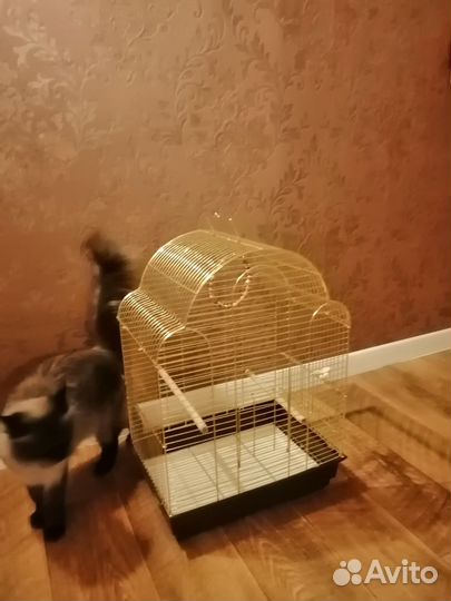 Клетка для попугая с кормом и вит смесью