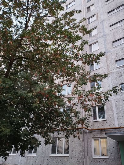 1-к. квартира, 38 м², 4/9 эт.