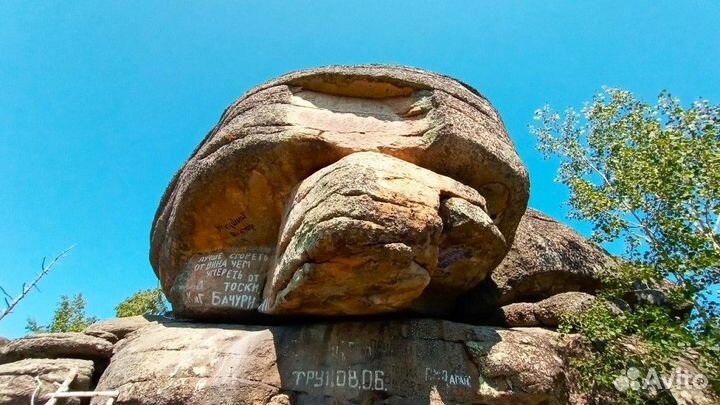 Турпутевка на Алтай летний экспедиция 5-9 дн